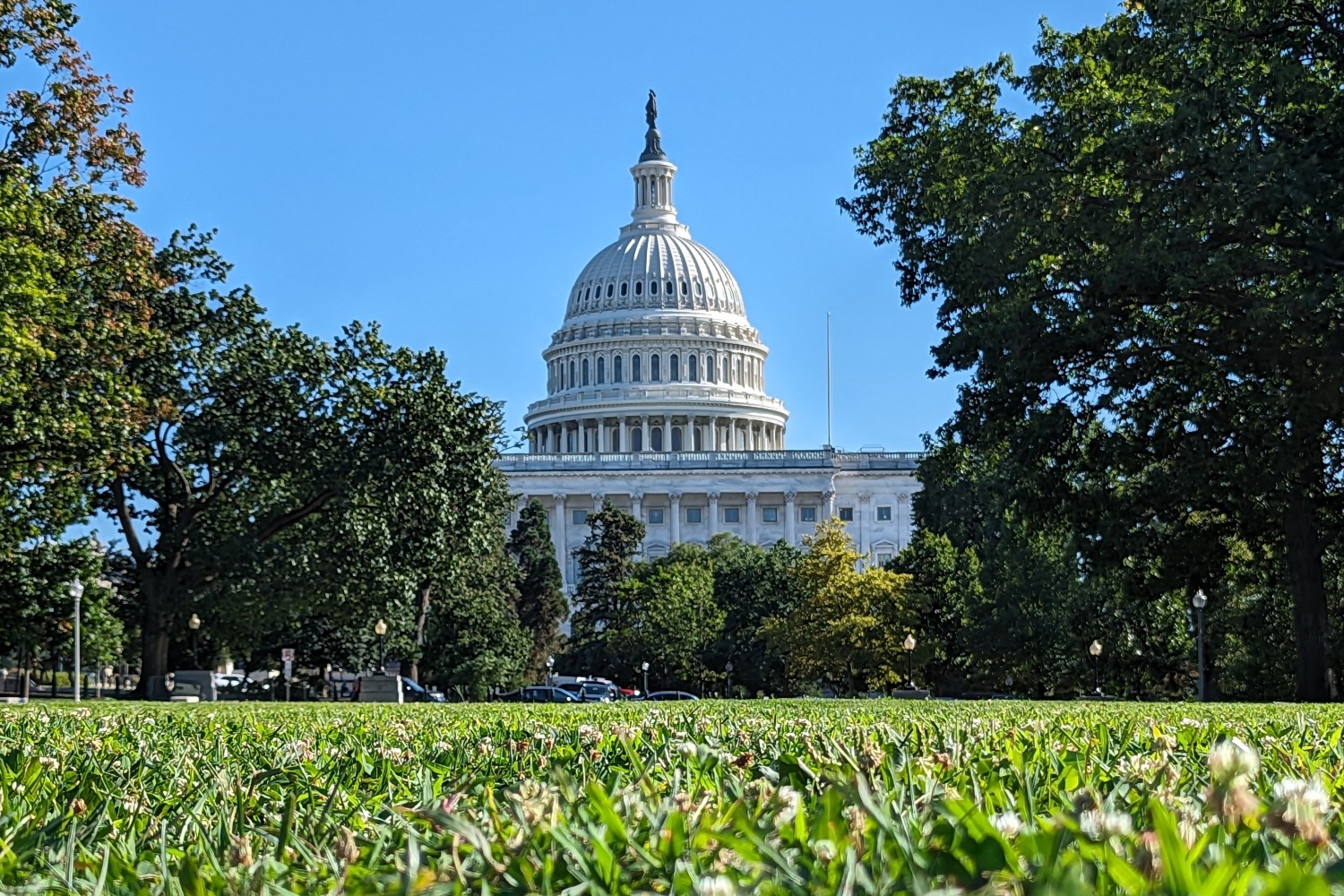 A view from DC: US Senate is back in session, tackling AI