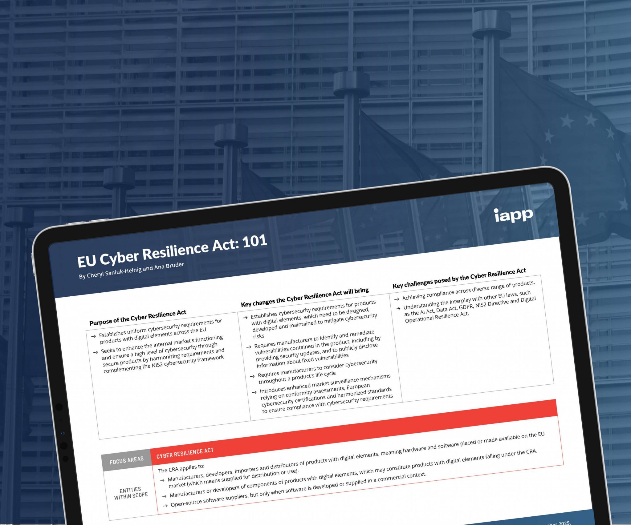 EU Cyber Resilience Act: 101